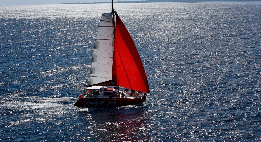 toutes voiles dehors