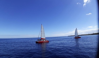 Les catamarans