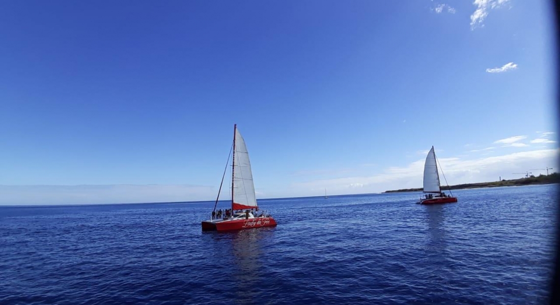 Les catamarans