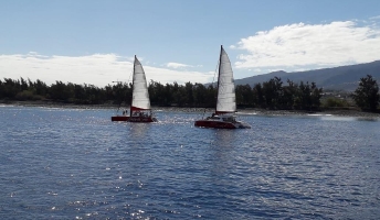 Les deux catamarans